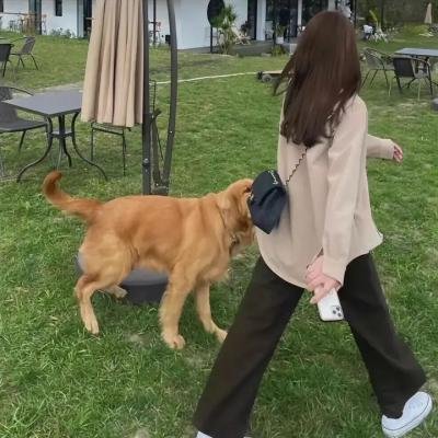 李知凡太太